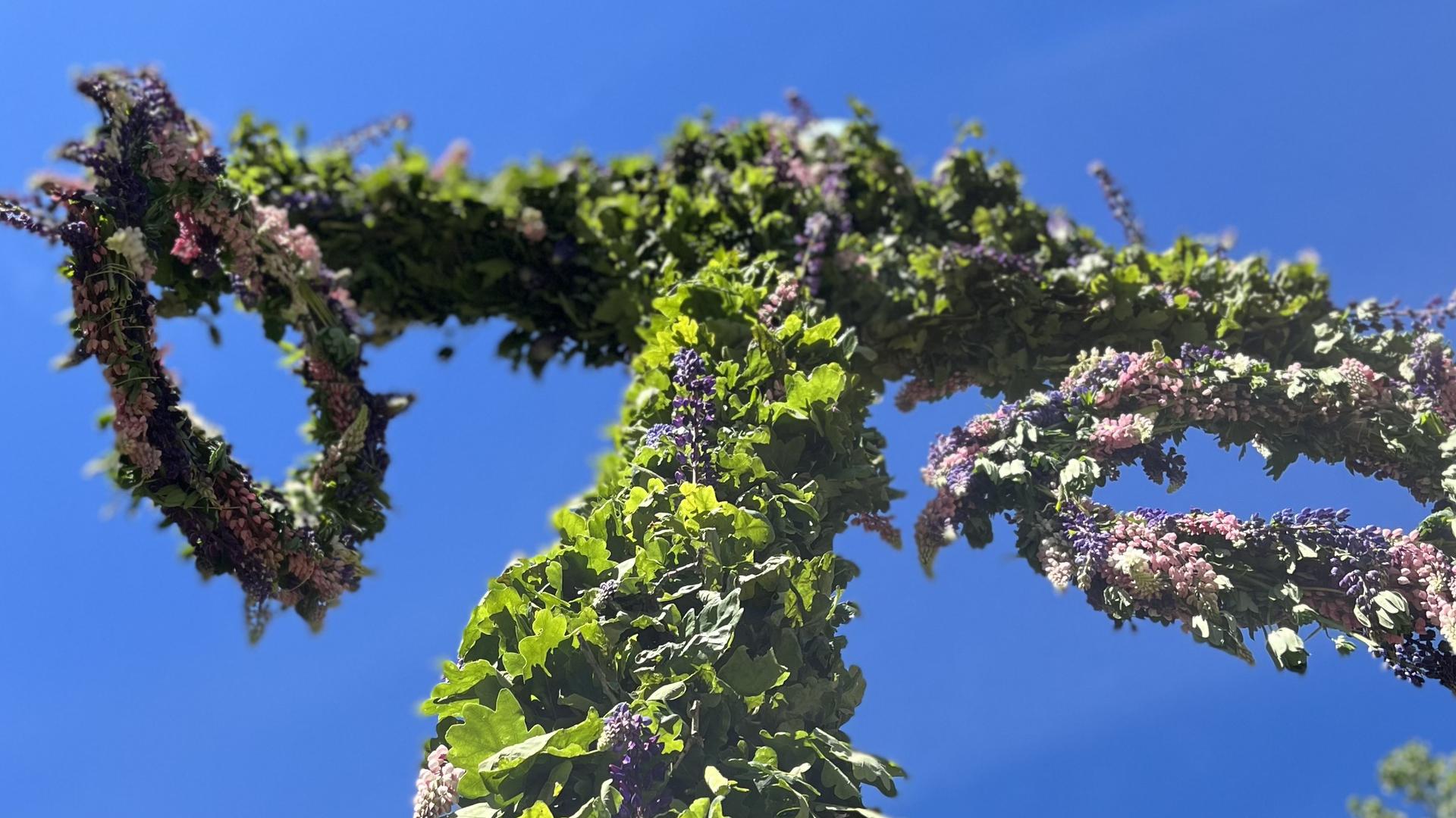 midsommarstång