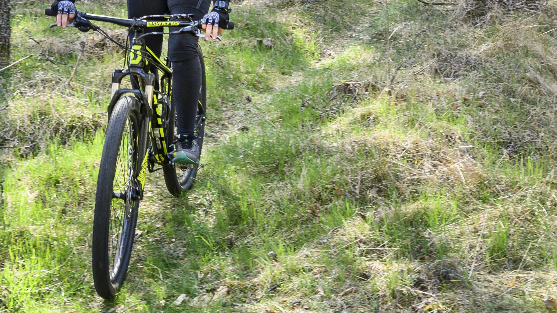 Mountainbike på stig i skog