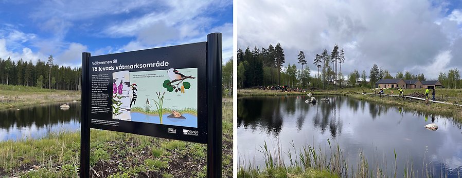 Våtmarken i Tällevad